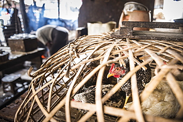 Chickens for sale at a street market in Downtown Yangon (Rangoon), Myanmar (Burma), Asia