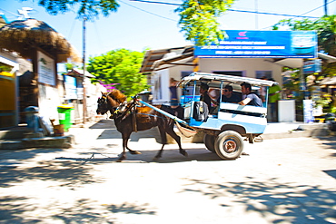 Cidomo, a horse and cart on Gili Trawangan, Gili Islands, Indonesia, Southeast Asia, Asia