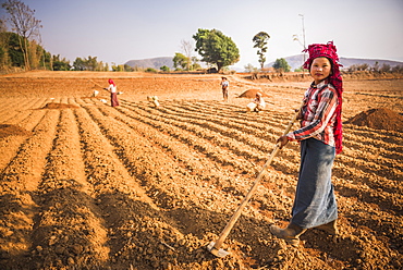 Pa-O hill tribe, farming near Inle Lake and Kalaw, Shan State, Myanmar (Burma), Asia