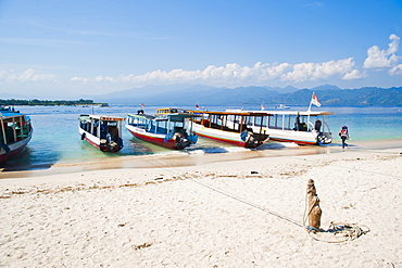 Gili Trawangan harbour, traditional Indonesian boats moored up, Gili Islands, Indonesia, Southeast Asia, Asia