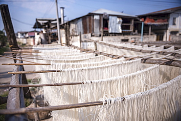 Noodles drying at a noodle factory in Hsipaw (Thibaw), Shan State, Myanmar (Burma), Asia