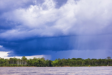 Amazon Rainforest storm, Coca, Ecuador, South America