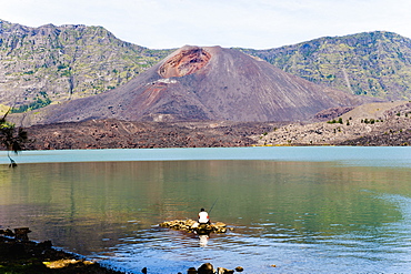 Man fishing in front of Mount Baru Jari, Segara Anak Lake at the bottom of Mount Rinjani volcano crater, Lombok, Indonesia, Southeast Asia, Asia