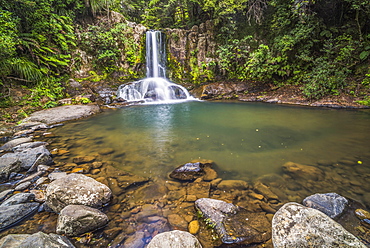 Waiau Falls, a waterfall on Road 309, Coromandel Peninsula, North Island, New Zealand, Pacific