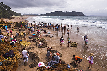 Hot Water Beach, Hahei, Coromandel Peninsula, North Island, New Zealand, Pacific