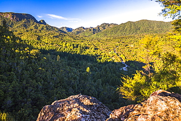 Kauaeranga Valley, Coromandel Forest Park, Coromandel Peninsula, North Island, New Zealand, Pacific