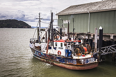 Fishing boat in Mangonui Harbour, Northland Region, North Island, New Zealand, Pacific