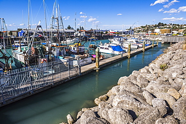 Sailing boats in Napier Harbour, Hawkes Bay Region, North Island, New Zealand, Pacific