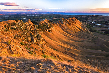 Te Mata Peak at sunrise, Hastings near Napier, Hawkes Bay Region, North Island, New Zealand, Pacific