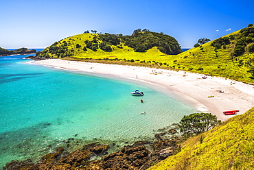 White sandy beach in the Waikare Inlet visited from Russell by sailing boat, Bay of Islands, Northland Region, North Island, New Zealand, Pacific