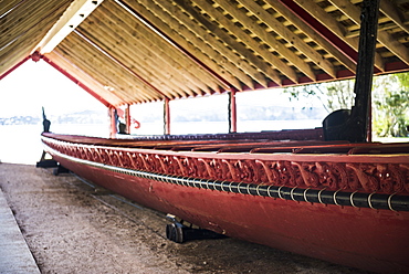 Maori boat, Waitangi Treaty Grounds, Bay of Islands, Northland Region, North Island, New Zealand, Pacific