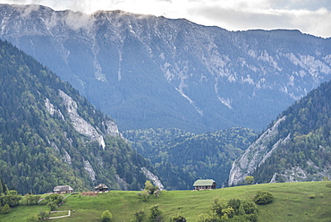 Romanian landscape in the Carpathian Mountains near Bran Castle at Pestera, Transylvania, Romania, Europe