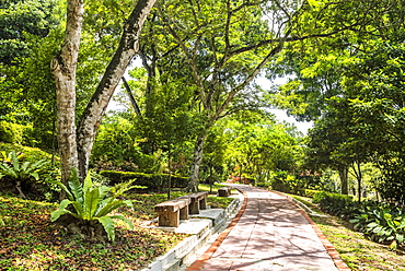 Perdana Botanical Garden, Tun Abdul Razak Heritage Park, Kuala Lumpur, Malaysia, Southeast Asia, Asia