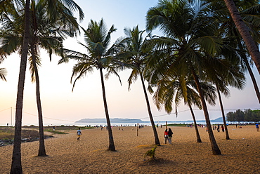 Miramar Beach at sunset, Panjim, Goa, India, Asia