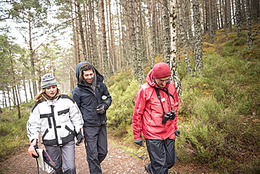 Hiking in Rothiemurchus Forest at Loch an Eilein, Aviemore, Cairngorms National Park, Scotland, United Kingdom, Europe