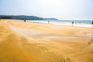 Galgibag Beach, South Goa, India, Asia