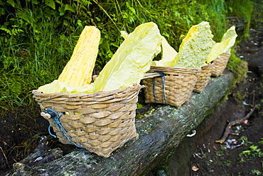 Baskets of bright yellow sulphur, Kawah Ijen, Java, Indonesia, Southeast Asia, Asia