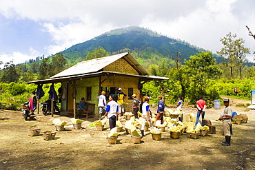 Final stop, the sulphur weighing station at Kawah Ijen, Java, Indonesia, Southeast Asia, Asia