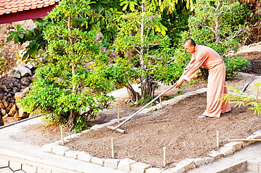 Buddhist monk gardening at a temple on top of Sam Mountain, Mekong Delta, Vietnam, Indochina, Southeast Asia, Asia