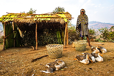 Man selling geese near Ranomafana, Haute Matsiatra Region, Madagascar, Africa