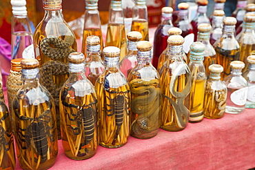 Rice wine bottles filled with lizards, Luang Prabang, Laos, Indochina, Southeast Asia, Asia