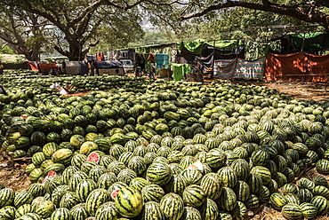 Watermelons, Pindaya, Shan State, Myanmar (Burma), Asia