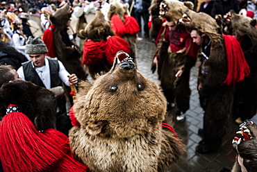 New Year Bear Dancing Festival, Comanesti, Moldova, Romania, Europe