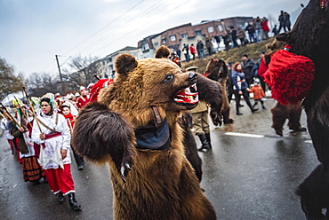 New Year Bear Dancing Festival, Comanesti, Moldova, Romania, Europe