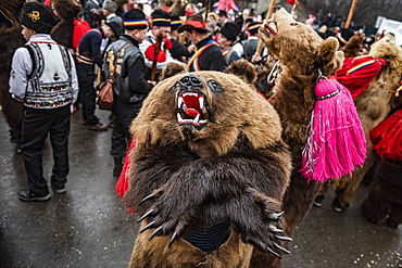 New Year Bear Dancing Festival, Comanesti, Moldova, Romania, Europe