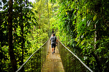 Hanging bridges in cloud forest at San Luis, Alajuela Province, Costa Rica, Central America