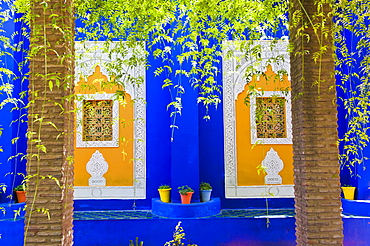 Majorelle Gardens (Gardens of Yves Saint-Laurent), Marrakech, Morocco, North Africa, Africa 