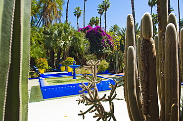 Blue fountain and cactus in the Majorelle Gardens (Gardens of Yves Saint-Laurent), Marrakech, Morocco, North Africa, Africa 