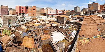 Tannery in Old Medina, Marrakech, Morocco, North Africa, Africa 