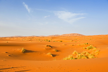 Sand dune landscape at Erg Chebbi Desert, Sahara Desert near Merzouga, Morocco, North Africa, Africa 