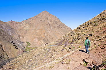 Tour guide trekking between Tacheddirt and Tizi n Tamatert, High Atlas Mountains, Morocco, North Africa, Africa 