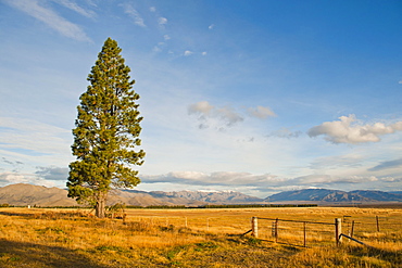 Otago Region landscape, Otago, South Island New Zealand, Pacific 