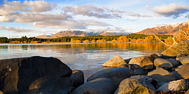 Lake Tekapo autumn colours at sunset, Southern Lakes, Canterbury Region, South Island, New Zealand, Pacific 