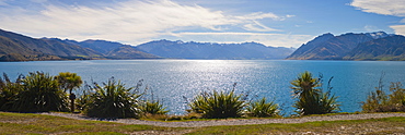 Lake Hawea, West Coast, South Island, New Zealand, Pacific 