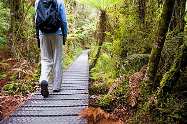 Tourist on the walkway in the forest surrounding Lake Matheson, Westland National Park, UNESCO World Heritage Site, South Island, New Zealand, Pacific 