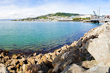 Wellington Harbour, North Island, New Zealand, Pacific 