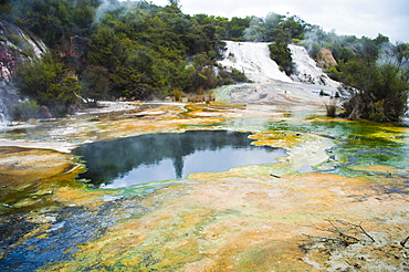 Artist's Palette and Rainbow Terrace at Orakei Korako Thermal Park, The Hidden Valley, North Island, New Zealand, Pacific 