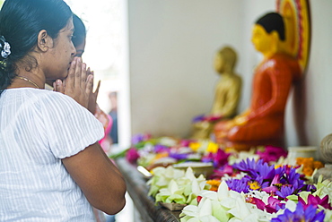 Buddhist woman praying at Sri Maha Bodhi in the Mahavihara (The Great Monastery), Anuradhapura, Sri Lanka, Asia 