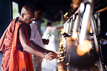 Buddhist monk praying at Sri Maha Bodhi in the Mahavihara (The Great Monastery), Anuradhapura, Sri Lanka, Asia 