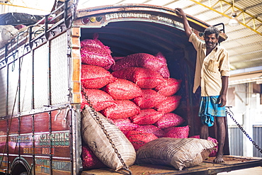 Portrait of a worker at Dambulla vegetable market, Dambulla, Central Province, Sri Lanka, Asia