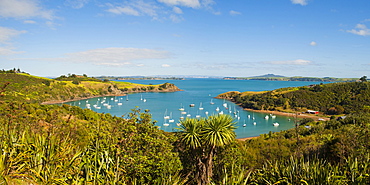 Panorama of sailing boats on Waiheke Island, Auckland, North Island, New Zealand, Pacific