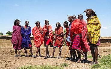 Masai Mara members sing tribal songs to greet guests to their village, Masai Mara National Reserve, Kenya, East Africa, Africa