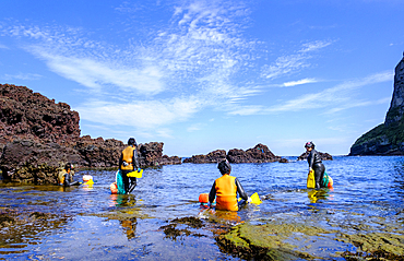 Haenyeo women, famous for diving into their eighties and holding their breath for up to two minutes, diving for conch, octopus, seaweed, and other seafood, Jeju, South Korea, Asia