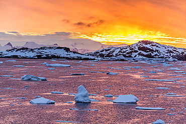 Sunset over ice floes and icebergs, near Pleneau Island, Antarctica, Southern Ocean, Polar Regions