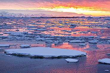 Sunset over ice floes and icebergs, near Pleneau Island, Antarctica, Southern Ocean, Polar Regions