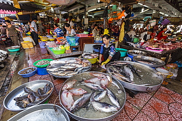 Fresh seafood for sale at market at Chau Doc, Mekong River Delta, Vietnam, Indochina, Southeast Asia, Asia